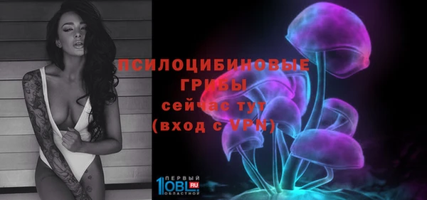 соль ск Заволжск