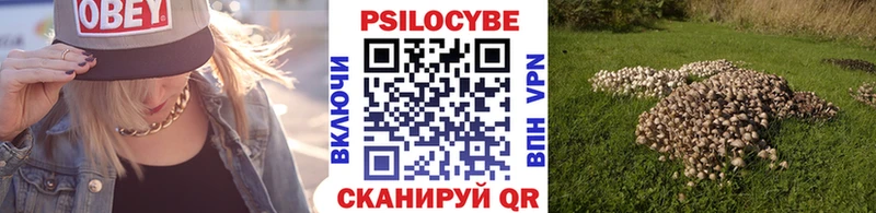Галлюциногенные грибы ЛСД  купить  сайты  Семилуки 