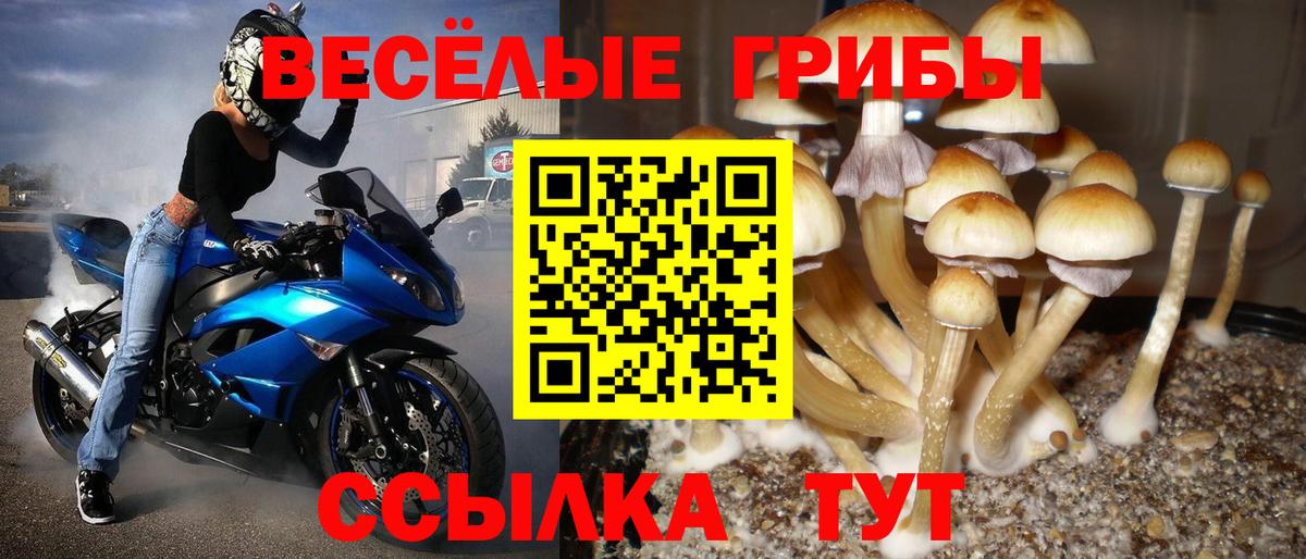 Галлюциногенные грибы Psilocybine cubensis  Галлюциногенные грибы мухоморы  Семилуки  Вход с VPN 