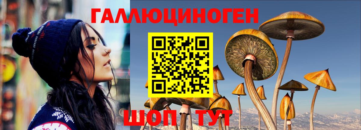 Галлюциногенные грибы Psilocybine cubensis  Вход с VPN  Семилуки 