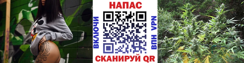 Шишки марихуана White Widow Семилуки